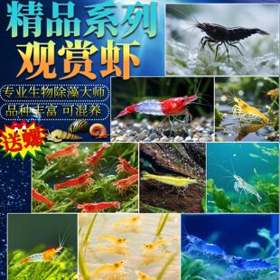�^�p�r�����r��ˮ�r��ښ��r�坍�~�ͻ���B�Ꭷ�^�p�~����ˮ���r