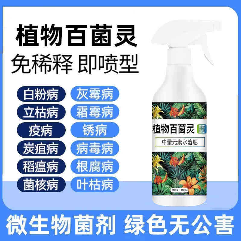 Fungicide Microbial Agent Bacillus Subtilis Nutrient Solution for Agricultural Use Against Root Rot and Black Spot Disease in the Root System Fungicide Microbial Agent Bacillus Subtilis Nutrient Solution for Agricultural Use Against Root Rot and Black Spot Disease in the Root System