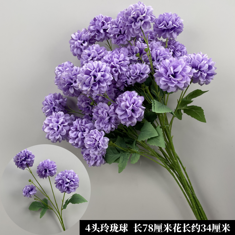 진저 퍼플 4개의 절묘한 공