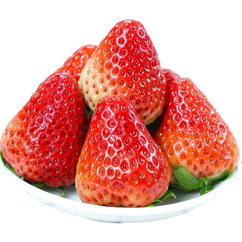 Shandong Cream Strawberry Origin Direct Delivery Seasonal Early Strawberries Free Shipping Fresh Fruit Strawberries Dropshipping