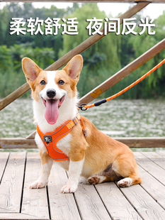 Dog Leash Vest Type Small and Medium-Sized Dog Corgi Shiba Inu Collar Dog Walking Rope Adjustable Harness Dog Chain