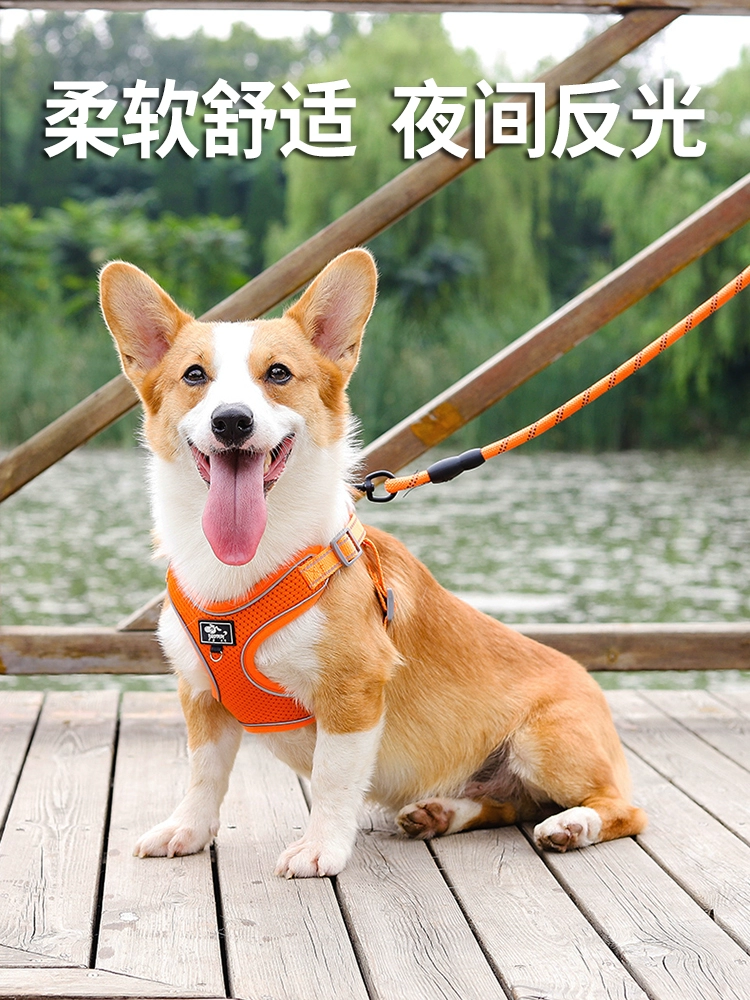Поводок для собаки, жилет для собак малого и среднего размера, ошейник для корги, шиба-ину, веревка для выгула собак, регулируемая шлейка, цепочка для собак