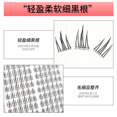Sunflower-Style Eyelash Extensions with Natural 10 Rows, Large Capacity, Single Cluster, Hard Stems, Sectioned, Lazy Fish-Tail False Lashes for Wholesale