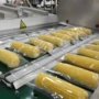 东北漂烫鲜食玉米流水线