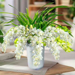 �������m �_������ �҃����Ի����m�� ��������