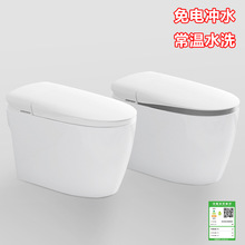 跨境货源 免电冲水无水压限制常温妇洗臀部清洗大口径 家用坐便器
