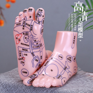 Foot Massage Model Foot Reflex Area Acupoint Massager Foot Foot Foot Foot Health Care Point Stick Home