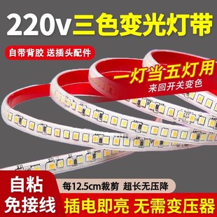 220V Three-Color Dimming Light Strip Living Room Ceiling Tv Bedroom Atmosphere Light Outdoor Waterproof Self-Adhesive Led Soft Light Strip