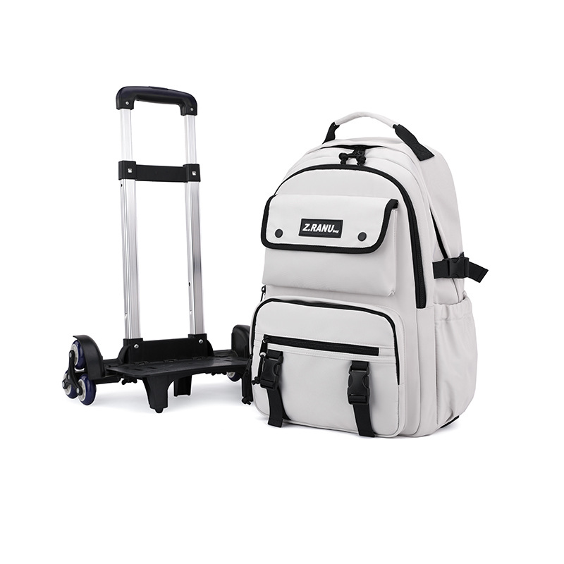 Mochila de tracción para niños de peces naturales para estudiantes de escuela primaria, mochila de escaleras para estudiantes de escuela secundaria de grado 3 - 6