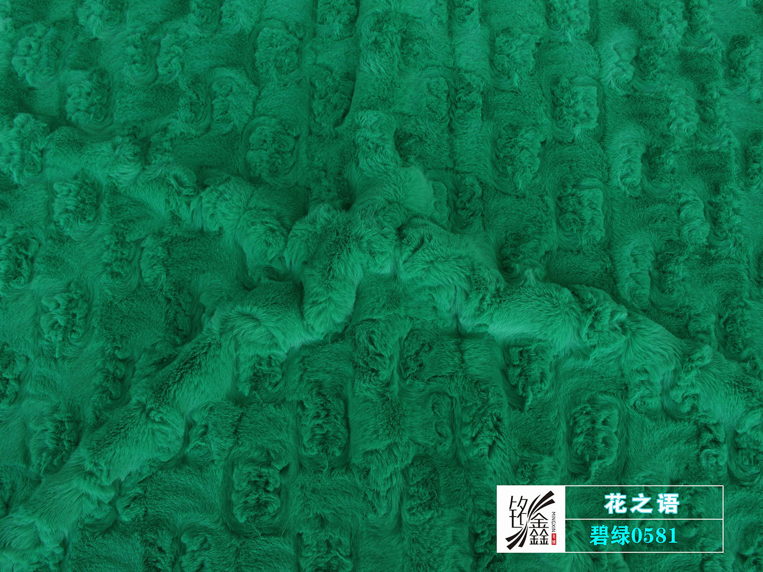 07碧绿0581.jpg