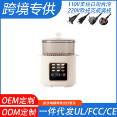 跨境多功能迷你煮蛋器早餐机蒸蛋器110V美国日本台湾加拿大供现货