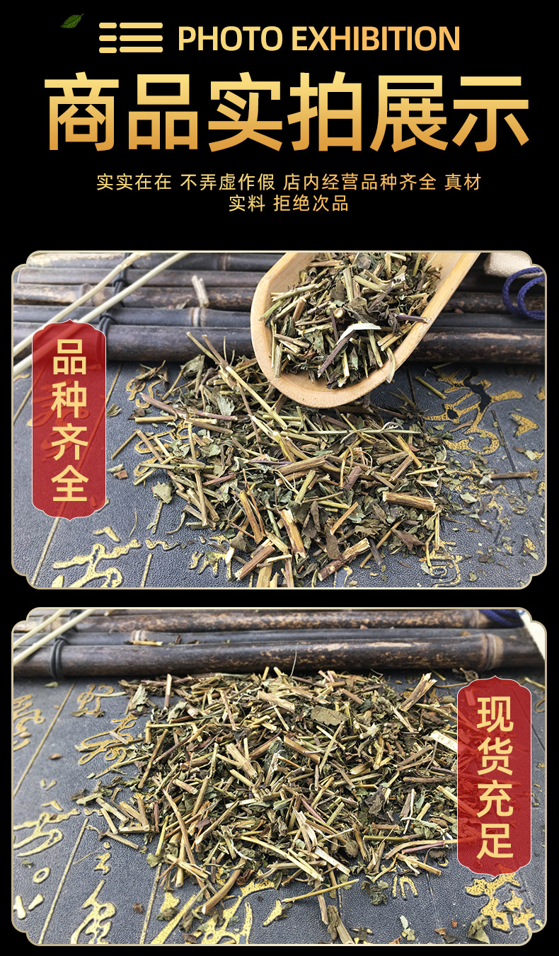 Dried Rabdosia Rubescens Herb Dong Ling Cao Whole Leaf Bulk Traditional Herbal Tea Ingredient in use