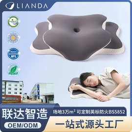 跨境蝴蝶型异形记忆枕护颈椎记忆棉枕头零压力蝶形枕护颈枕头枕芯