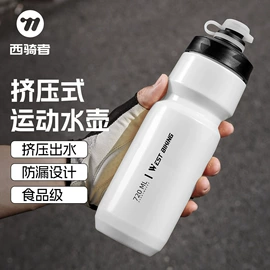 自行车装饰;骑行面罩;自行车包
