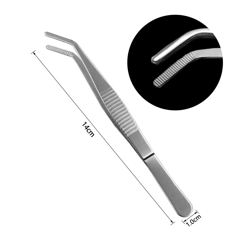 Stainless steel tweezers, thickened tweezers with round head, toothed tweezers, straight elbow clamp, garden landscape clamp