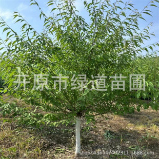 ���깩���|�����Ҙ�3-12������@�������Ҙ��罨�Ա���С��