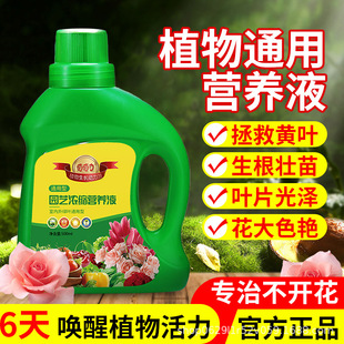 Plant nutrient solution universal household planting green radish succulent flower fortune tree rich bamboo hydroponic nutrient fertilizer