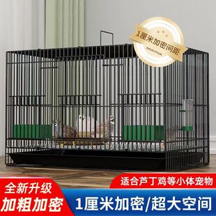 �S��ֱ�l�J���u�\�����l���ܼӴ���g�g���\�҃ȼ����r�u�\С�u�\