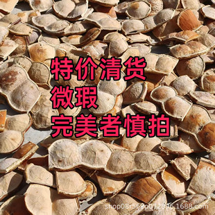 ���؃r��}����Ͽ��ٴ��v�ζ��p��B��DIY���������l���ޔ[��