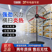 ���Ӵ־W�֡��t�pϲ���Iţ���ȴ��L���L�����Ï����u�^����ȏ��L