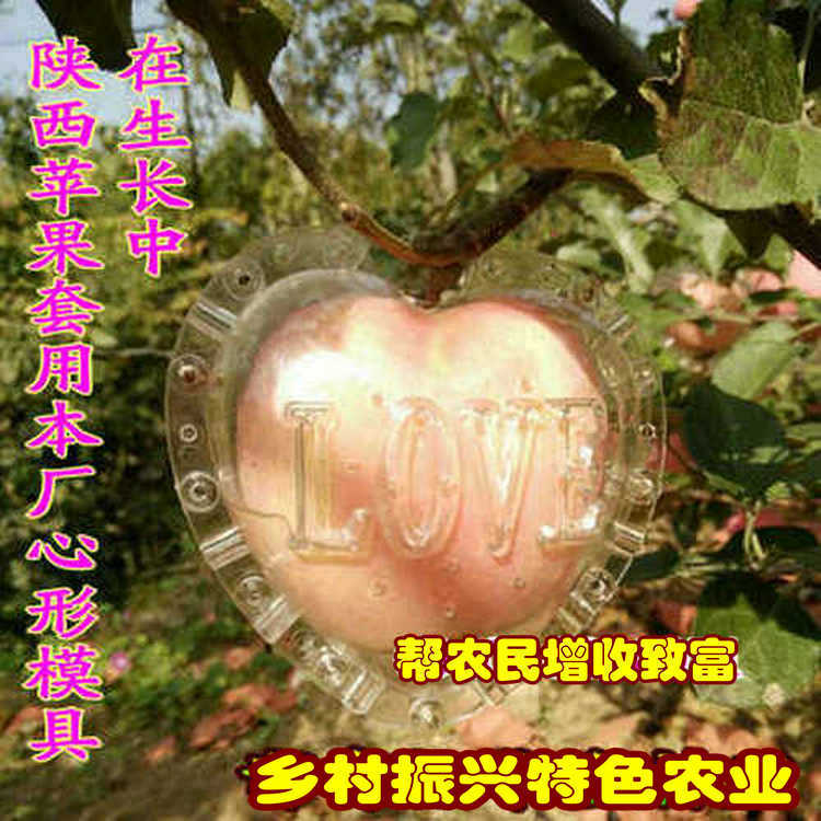 9公分中英文爱心形苹果水果生长定型模具人参果桃心范制葫芦模具
