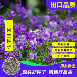 �����m���N���ļ��N�׻�������޸��T��˷N������ͺ������m����