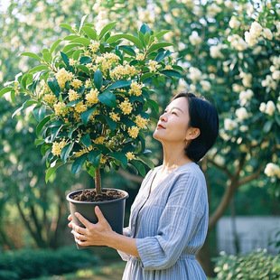 ļ𻨘ֲ_̨҃ͥԺԺBͻ