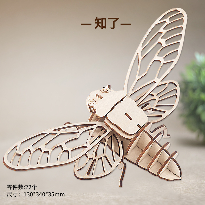 cicada