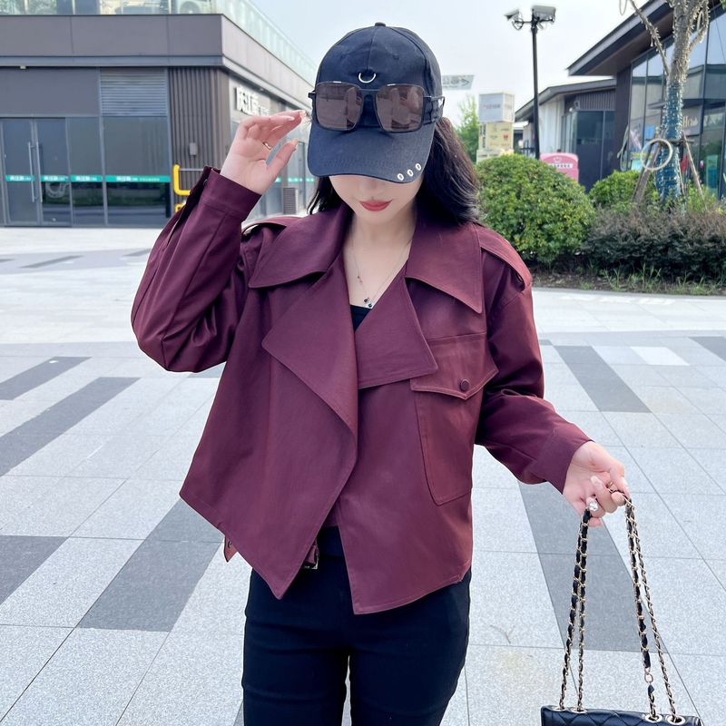 2025秋季新款韩版宽松显瘦百搭休闲短款外套女设计感小众夹克上衣|undefined