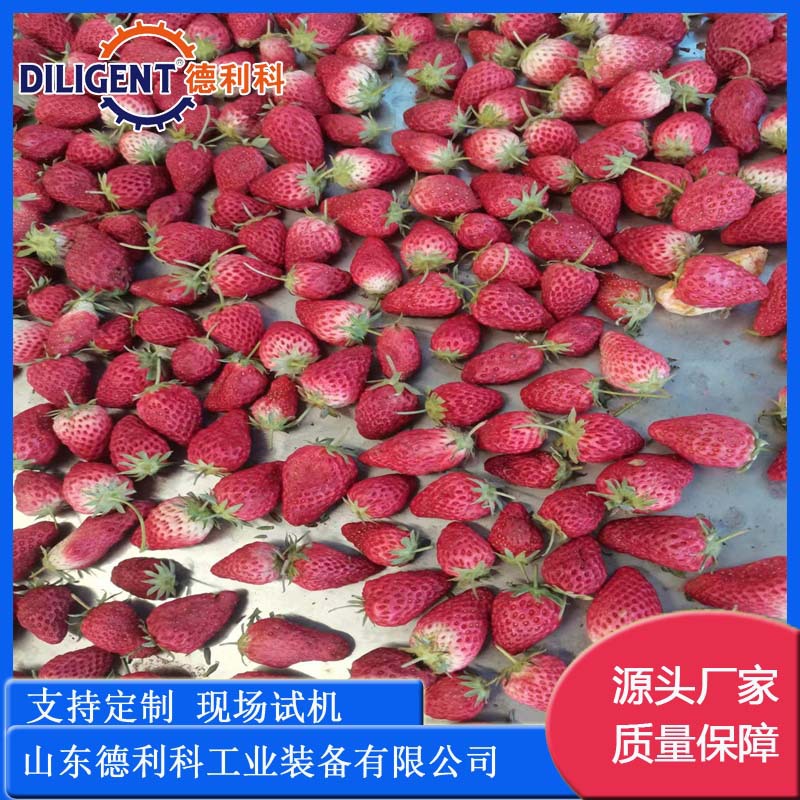 冰糖心苹果脆真空膨化机 陕西苹果脆膨化机 果蔬脆加工流水线