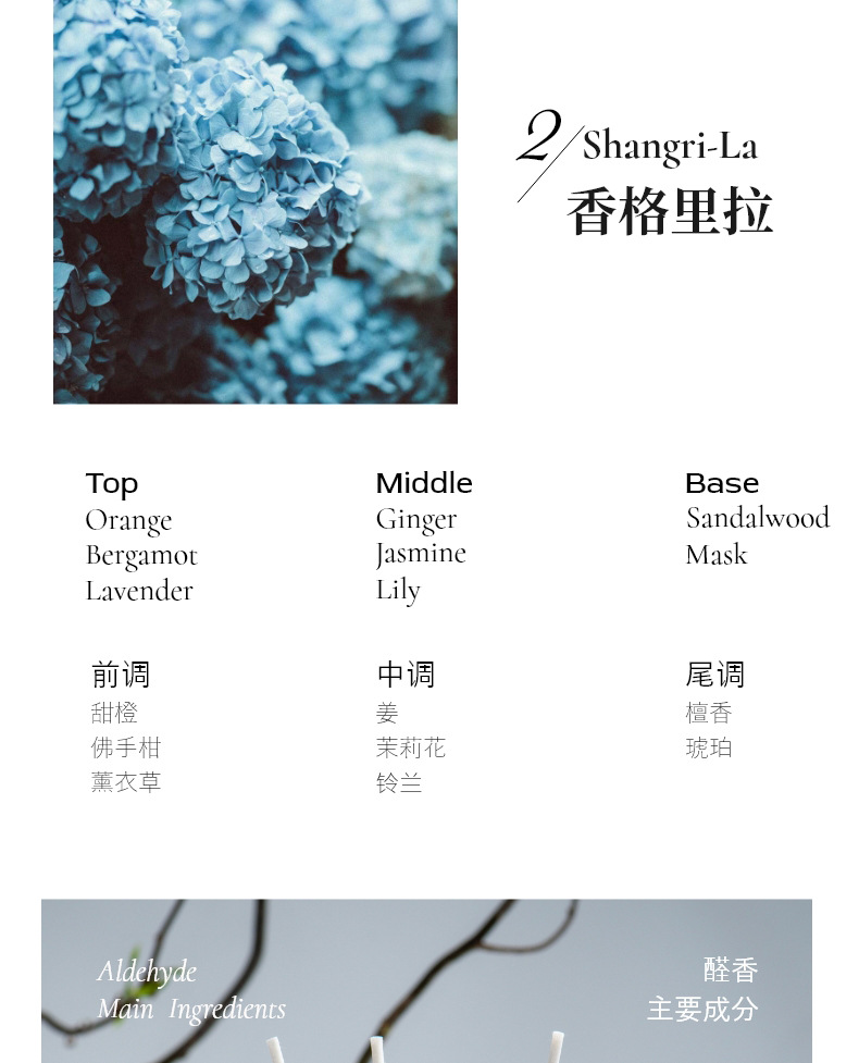 气味档案藤条香薰精油香格里拉液体香氛白桃乌龙木质香香熏伴手礼详情5