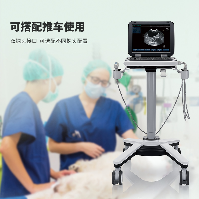 B- ultrasound PU-VL151A portable ultrasonic detector for pet animals, cattle, sheep, pigs and horses
