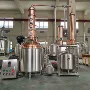 蒸馏负压果酒金酒蒸馏器