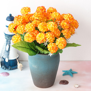�S�����l���滨 �b� ���� 9�^���� 9�^�ջ��� 9�^���