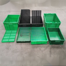 ѿ�������P����ѿˮ����ˮ�໨���Nֲ�䶹ѿ��Ҏģ�Nֲ��