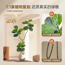 ?ֲ�����~����������҃ȴ��ͷ����Gֲ�[���͏d�p���b���