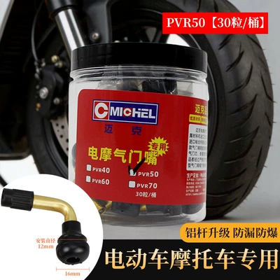 Mike Electric Motorcycle Valve valve - electric-motorcycle-pvr50-30-piecesbarrel