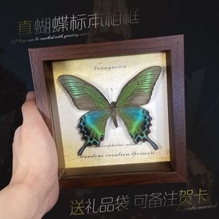 ������˱���� ľ�|�b�DIY�͹����[̨�Ҿ��b����նY��YƷ