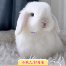 �������ӻ��ͯ����٪�����L����С���۶��öY���Lë����û��w