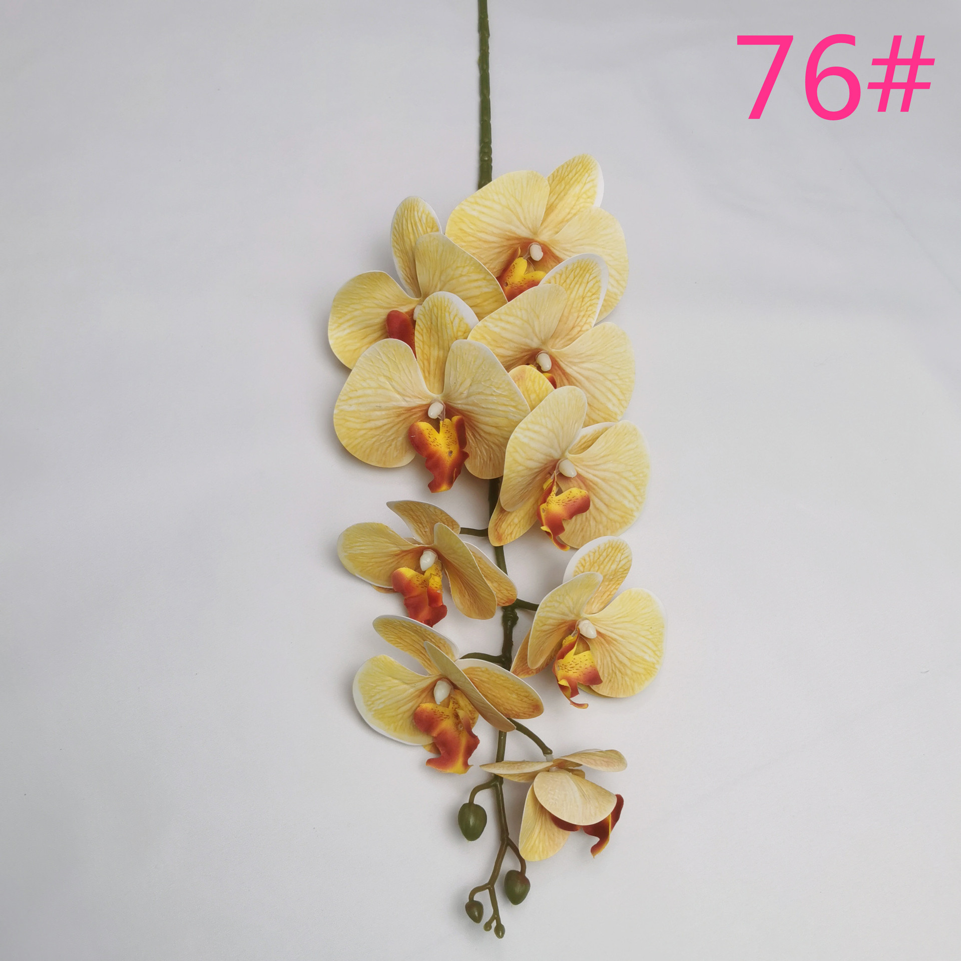 IMG_20220607_182343_副本