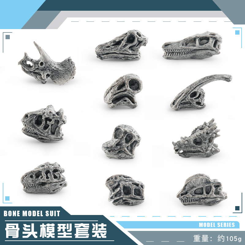 Transfronterizos de venta caliente simulación sólida modelo de cráneo de dinosaurio estático T. rex Velociraptor esqueleto arqueológico juguetes para niños