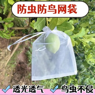 ˮ���״����x���B�������O����ʯ�����ӱ��o�����״��ӾW����