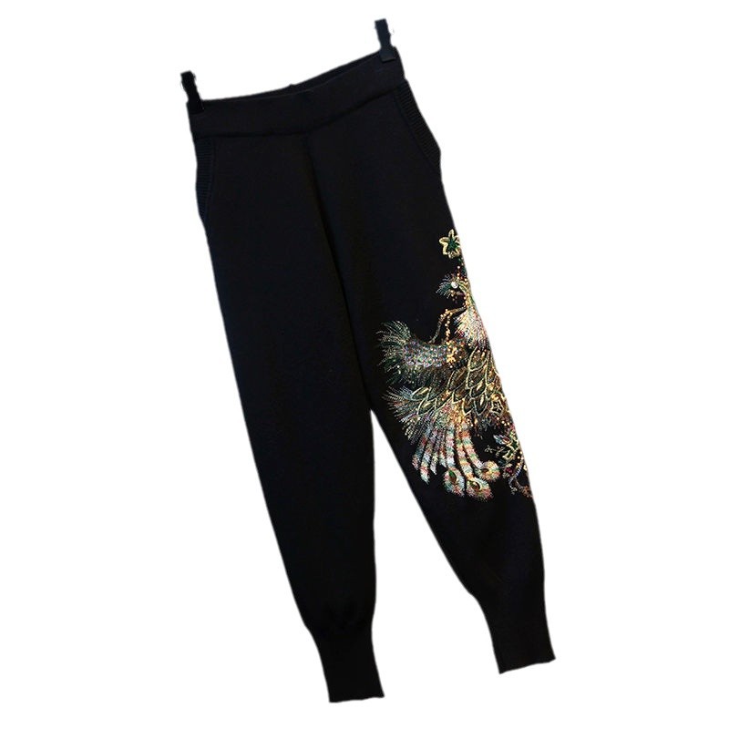 Damenbekleidung Große Größe Damenbekleidung neue Station Pfau Pailletten Langarm Mode Samt Sport zweiteiliger Freizeitanzug weiblicher Herbst_voghion.com