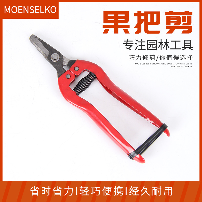 家用果把剪 采果园艺柑橘桔子剪刀 葡萄修枝剪 采果摘果剪