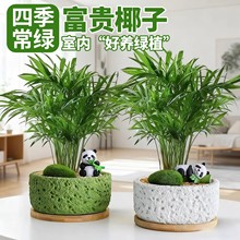 ����Ҭ�������҃Ȼ��ܾGֲ�͏d�����o��ֲ����B�����՚��ļ�����