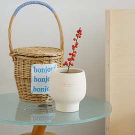 DOLV 豆绿 北美冬青 ins北欧风新年礼物喜庆桌面茶几好养观果盆栽