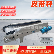 电子皮带秤测流量传送带皮带秤定量给料机煤矿砂石场配料称重仪表