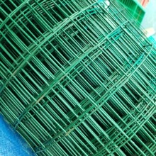 ���m�W���W�Gɫ