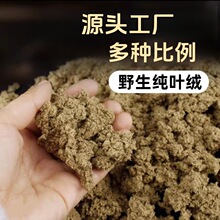 ���qɢ�b�������~�qҰ��������500g���b���l���q����Ʒ