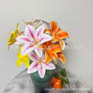 ���滨�zƬ�ٺϻ�c�����b鷿����̈��������Ż�·���������l